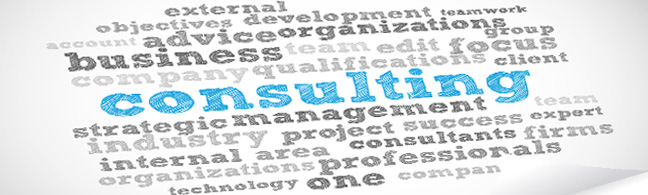 Coaching and Consulting Services