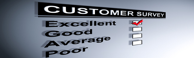 Customer Satisfaction Surveys