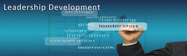 Leadership Development Consulting and Services